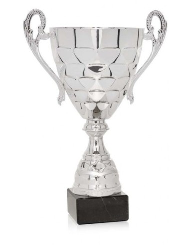 (58) COPA 24 cm