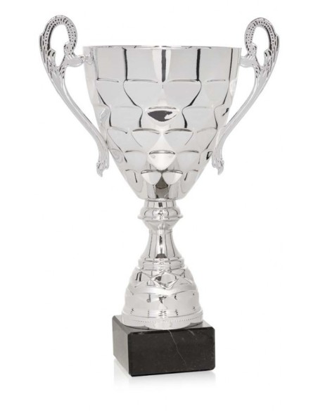 (58) COPA 24 cm