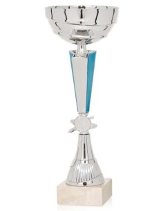 (62) COPA LINEA ECONOMICA PORTADISCOS 26 cm