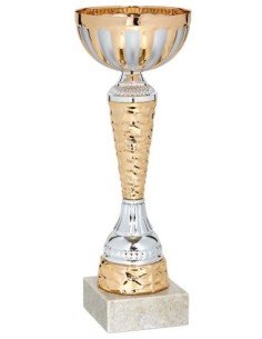 (63) COPA LINEA ECONOMICA 21 cm