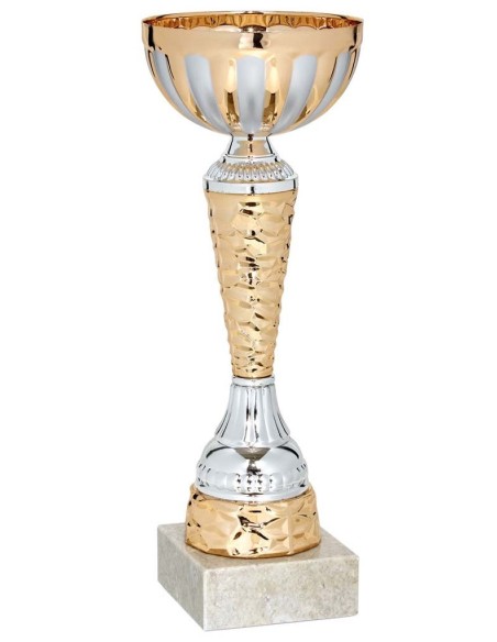 (63) COPA LINEA ECONOMICA 21 cm
