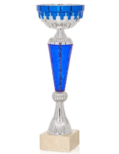 (69) COPA LINEA ECONOMICA 24 cm