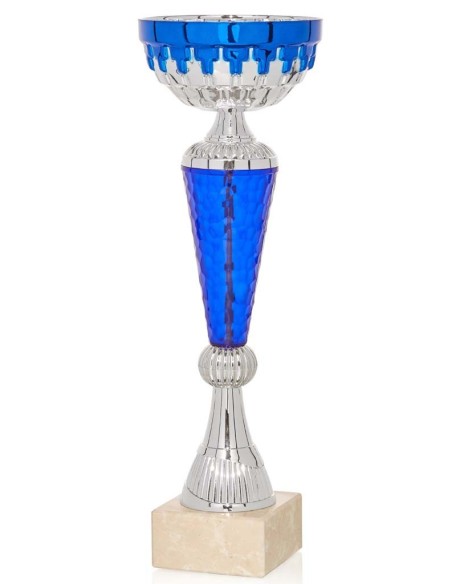 (69) COPA LINEA ECONOMICA 24 cm