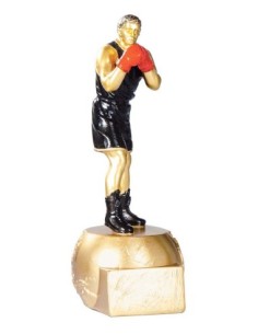 (195) RESINA BOXEO 20 cm