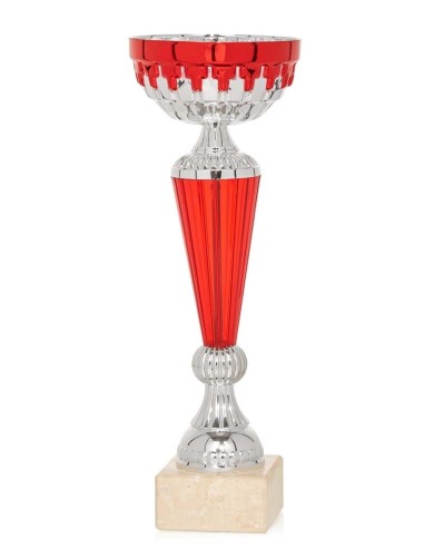 (72) COPA LINEA ECONOMICA 24 cm
