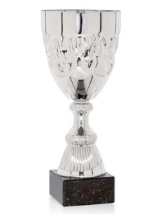 (78) COPA LINEA CLASICA 24 cm