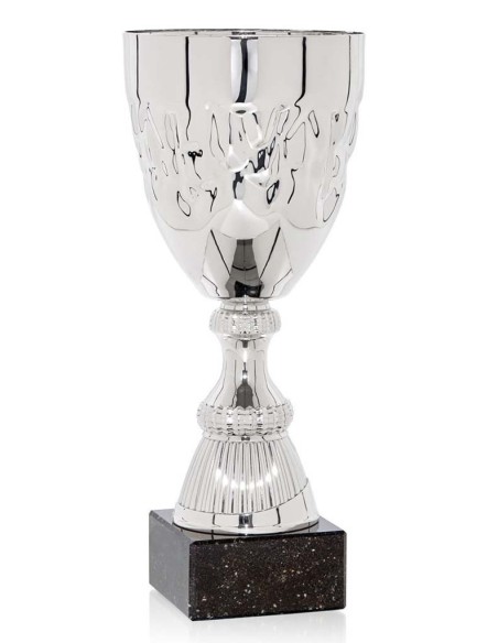 (78) COPA LINEA CLASICA 24 cm