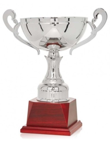 (81) COPA LINEA PRESTIGE 18 cm