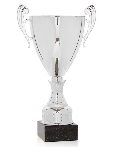 (85) COPA LINEA CLASICA 24 cm