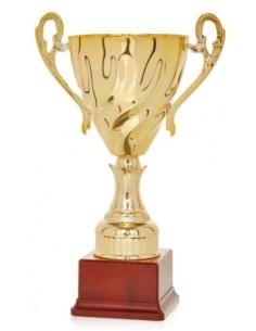 (86) COPA LINEA CLASICA 27 cm
