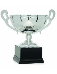 (89) COPA LINEA PRESTIGE 20 cm