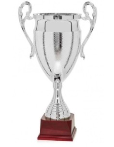 (110) COPA LINEA LUXE/DISEÑO 66 cm