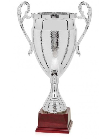 (110) COPA LINEA LUXE/DISEÑO 66 cm