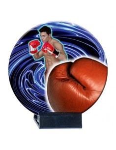 (216) TROFEO DE CERAMICA BOXEO 16 cm