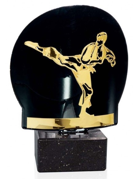 (238) TROFEO METAL SERIE FM ARTES MARCIALES 18 cm