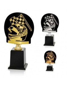 (236) TROFEO METAL SERIE FR MOTOR PLATA 24 cm