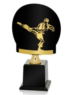 (237) TROFEO METAL SERIE FR ARTES MARCIALES 22 cm