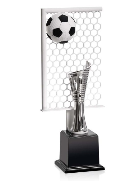 (59) SERIE NTC 3D FUTBOL 30 cm