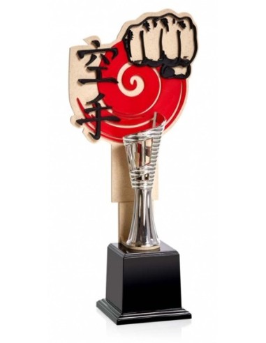 (59) SERIE NTC 3D KARATE 29 cm
