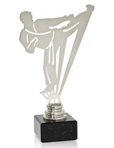 (228) TROFEO METAL ARTES MARCIALES 19 cm