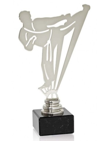 (228) TROFEO METAL ARTES MARCIALES 19 cm