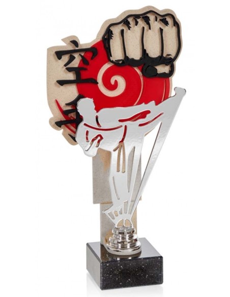 (232) TROFEO SERIE NTX KARATE 27 cm